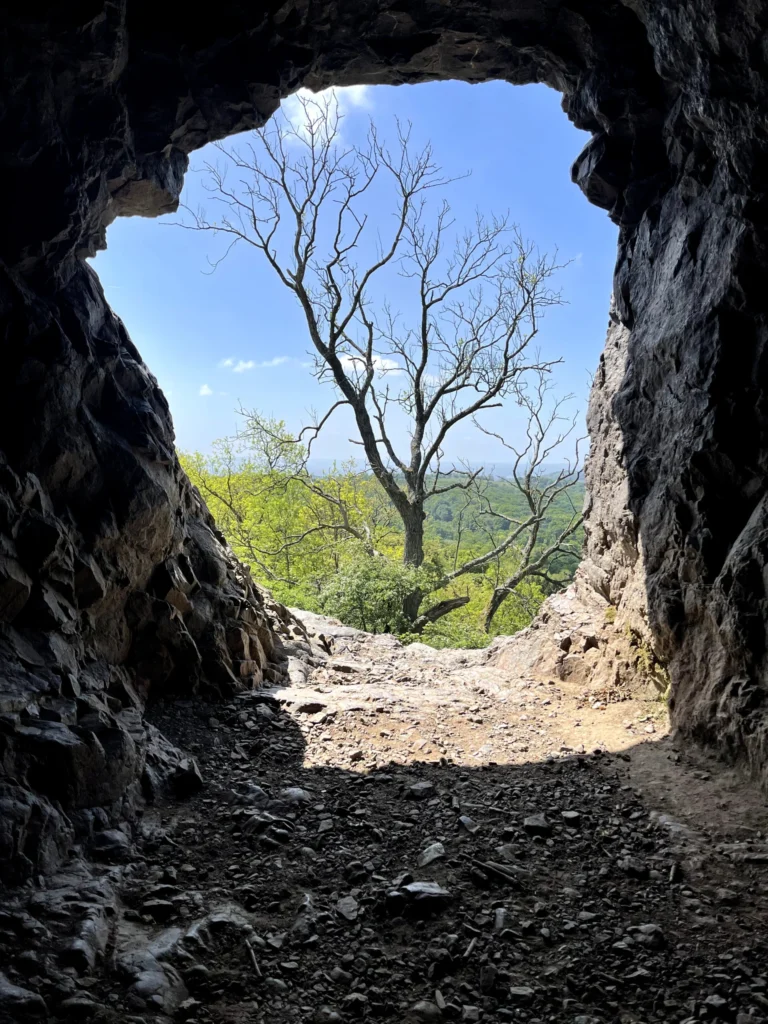 Malvern Hills Walks from British Camp and Sally’s Place Kiosk photo 4