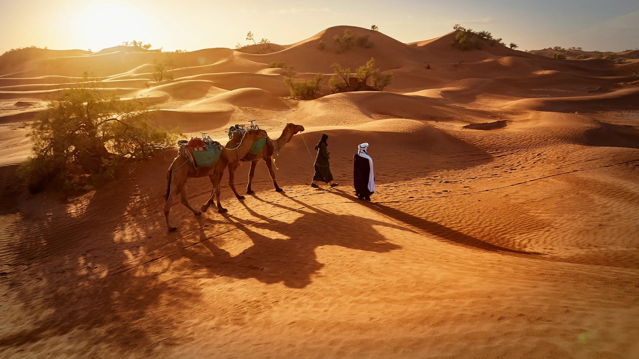 Travel & Culture