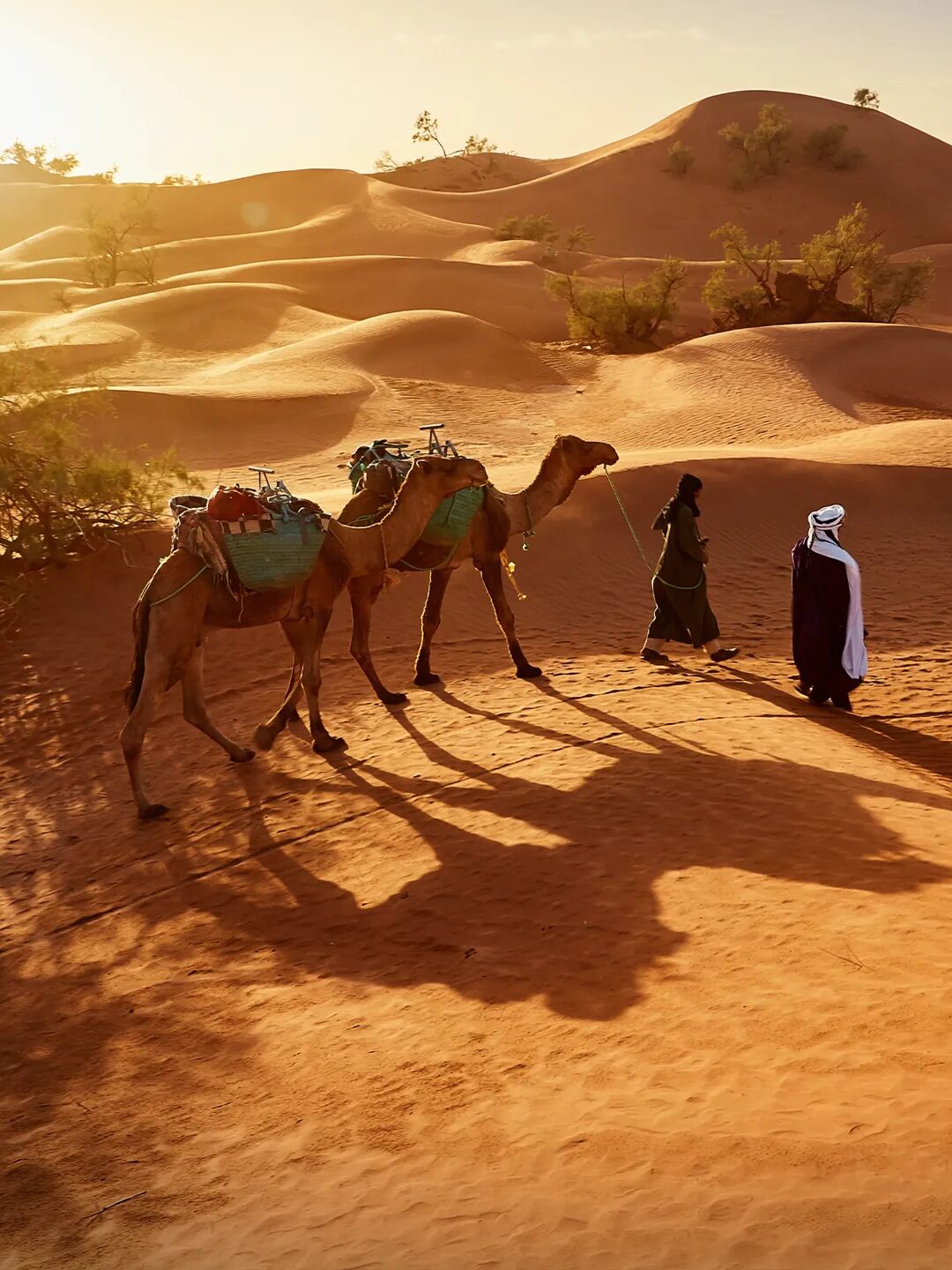 Travel & Culture